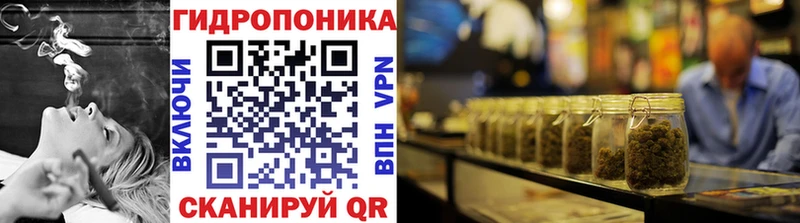 Наркотические вещества Колпашево Галлюциногенные грибы  Кокаин  Гашиш  MEGA ONION  Меф мяу мяу  APVP  Каннабис  Амфетамин 