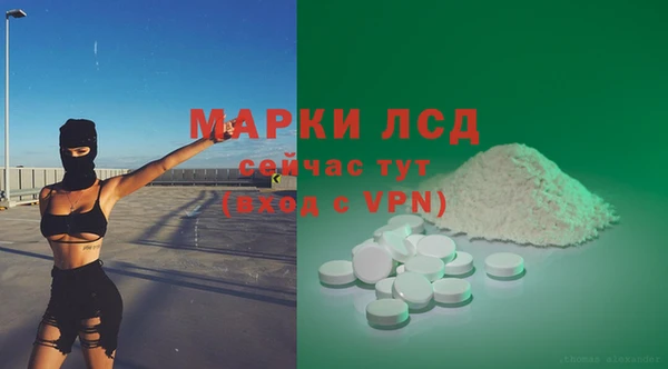 прущий лед Богданович