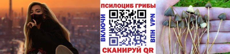 Галлюциногенные грибы Psilocybine cubensis  площадка клад  Колпашево  OMG сайт 